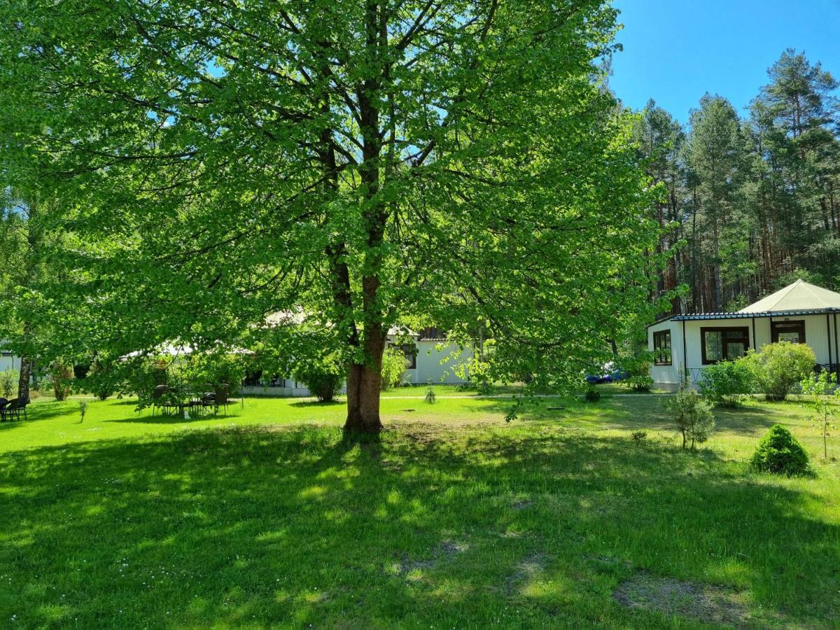 Villa Osrodek Wypoczynkowy Soszko Swornegacie Exterior foto